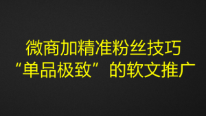 微商加精准粉丝技巧，“单品极致”的软文推广-欢迎访问本站