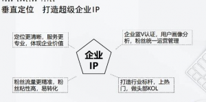 短视频带货合集详细教程（外边卖3980元）-欢迎访问本站