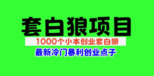 1000个冷门小本创业小项目【无水印绝密版】总有一款适合你-欢迎访问本站